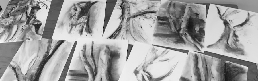 Student charcoal drawings of trees